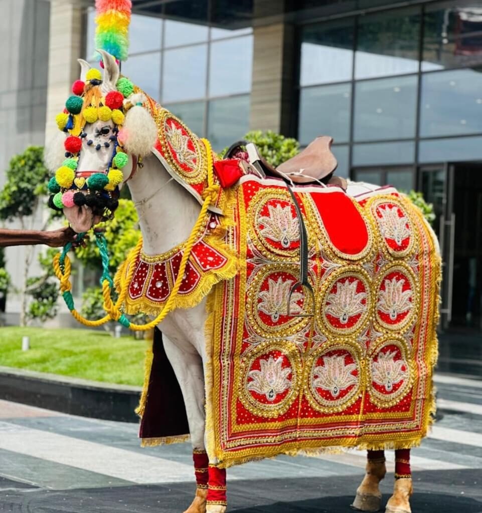 dcc13dbf-2901-4a24-aec6-5f95e4c12258