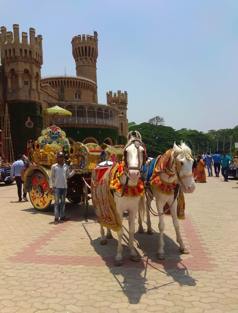 f840a682-e708-497c-960d-571c3ba070e0